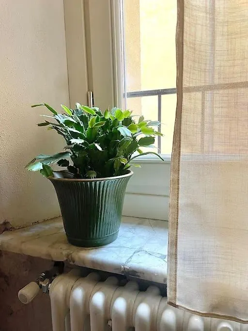 Timeless House Apartman Pisa